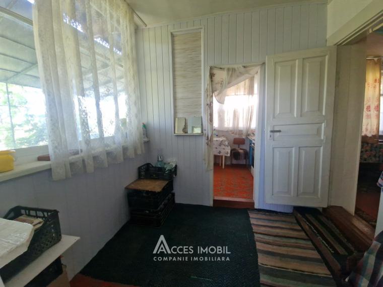 Villa in 2 levels! Codru, Sihastrului Street, 50m² + 6 ares!: 4