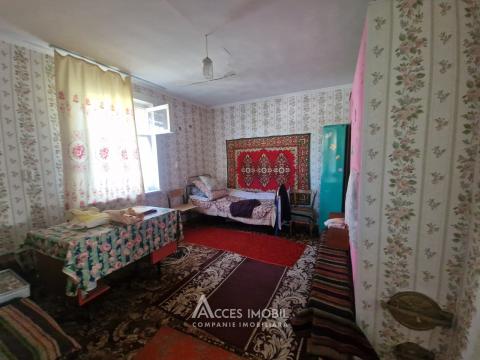 : Codru, Sihastrului Street