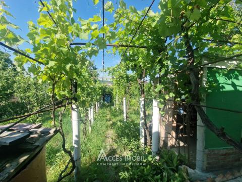 Villa in 2 levels! Codru, Sihastrului Street, 50m² + 6 ares!: 8