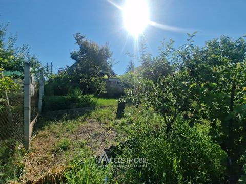 Villa in 2 levels! Codru, Sihastrului Street, 50m² + 6 ares!: 9