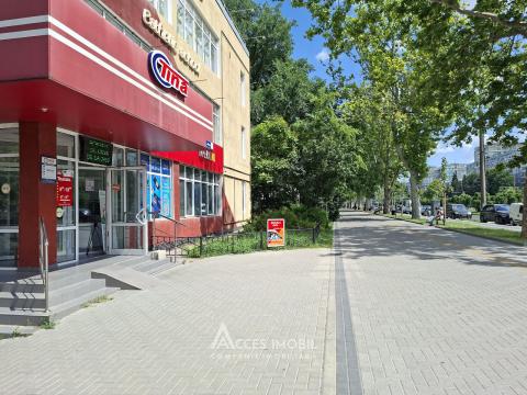 Аренда! Ботаника, бд. Дачия, коммерческое помещение 270м². Новострой!: 12