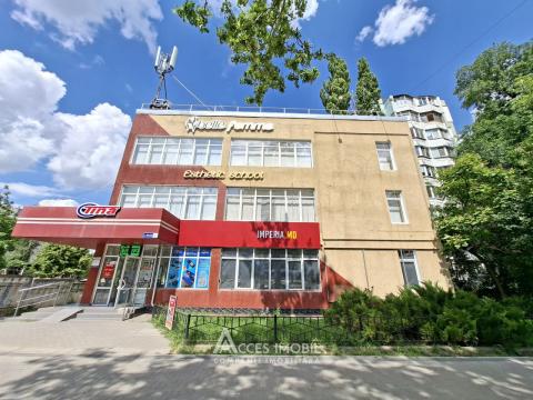 Аренда! Ботаника, бд. Дачия, коммерческое помещение 270м². Новострой!: 11