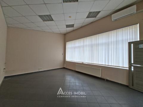 Аренда! Ботаника, бд. Дачия, коммерческое помещение 270м². Новострой!: 1