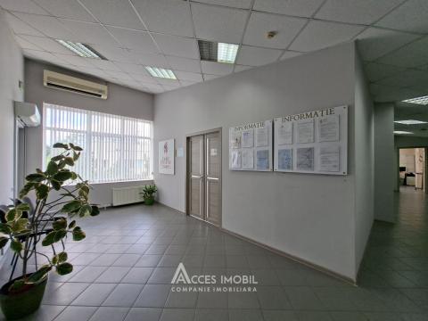 Аренда! Ботаника, бд. Дачия, коммерческое помещение 270м². Новострой!: 4