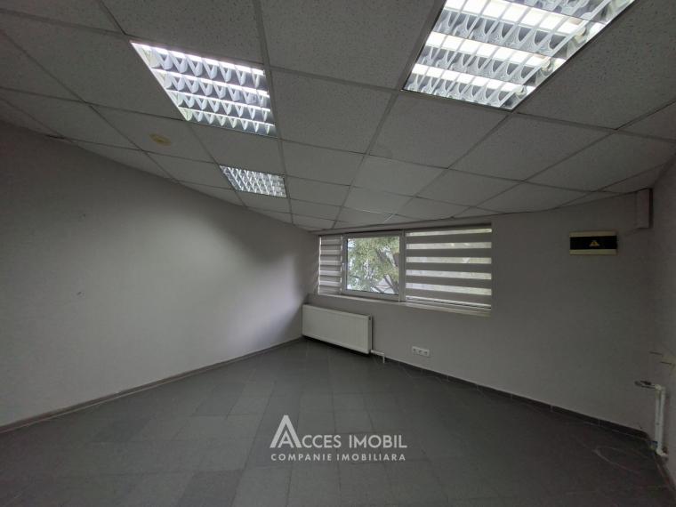 Аренда! Ботаника, бд. Дачия, коммерческое помещение 270м². Новострой!: 5