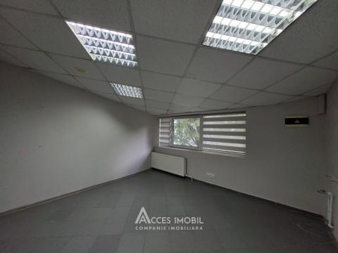 Аренда! Ботаника, бд. Дачия, коммерческое помещение 270м². Новострой!: 5
