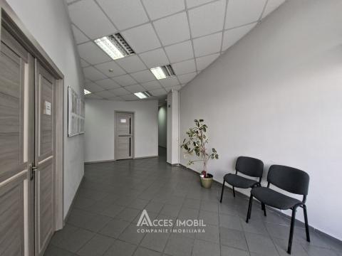 Аренда! Ботаника, бд. Дачия, коммерческое помещение 270м². Новострой!: 8