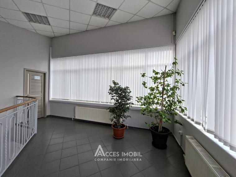 Аренда! Ботаника, бд. Дачия, коммерческое помещение 270м². Новострой!: 9