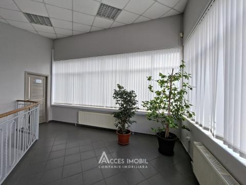 Аренда! Ботаника, бд. Дачия, коммерческое помещение 270м². Новострой!: 9