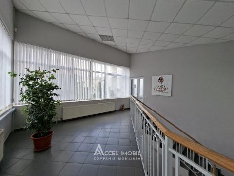 Аренда! Ботаника, бд. Дачия, коммерческое помещение 270м². Новострой!: 10