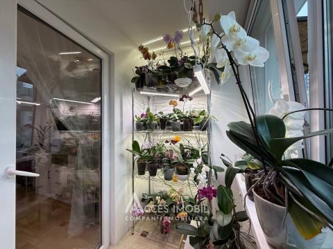 Ciocana, Petru Zadnipru street, 1 room. Eurorepair! MS Series!: 6