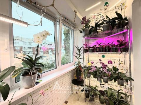 Ciocana, Petru Zadnipru street, 1 room. Eurorepair! MS Series!: 7