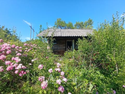 Terenuri de vânzare în Chișinău: Trușeni, Ip Oasis