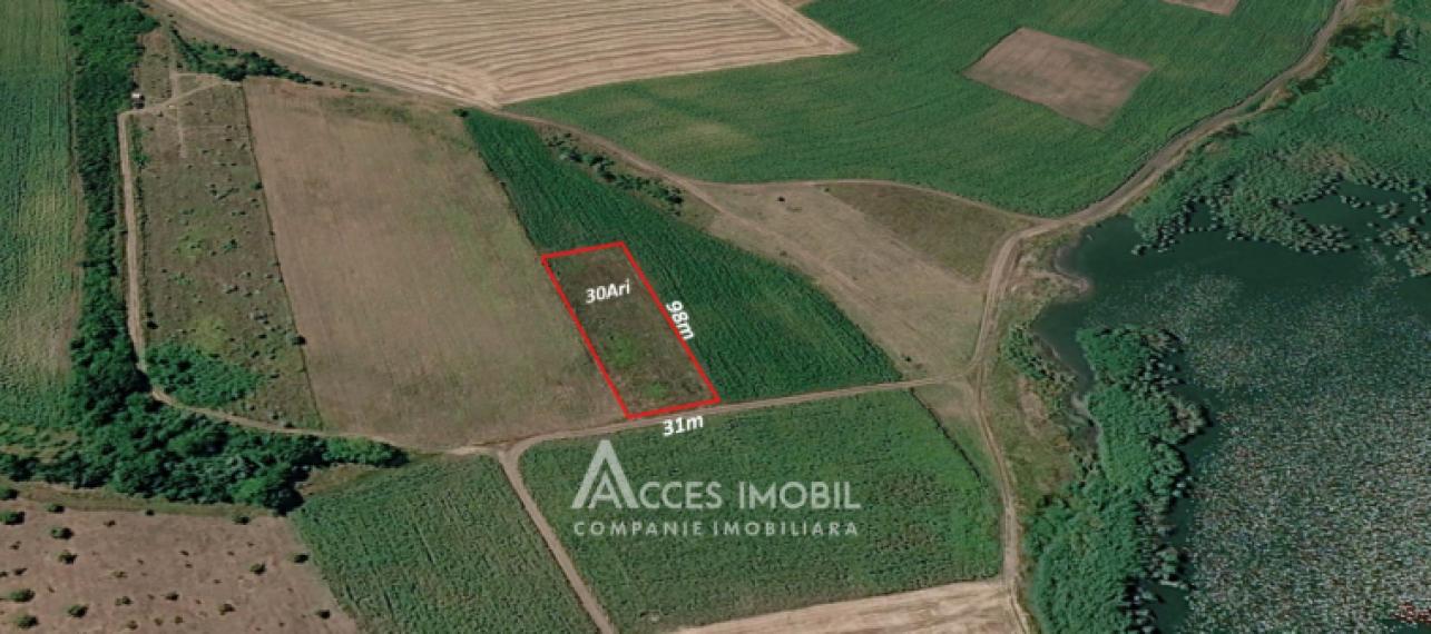 Teren agricol, 30 ari, Dobrogea!: 0