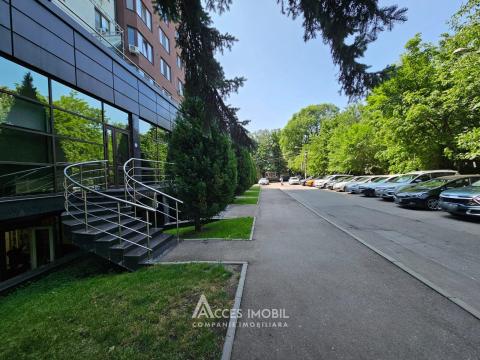 D&D! Bloc Nou! Râșcani, str. Miron Costin, Spațiu Comercial 70m². Euroreparație! Încălzire autonomă!: 15