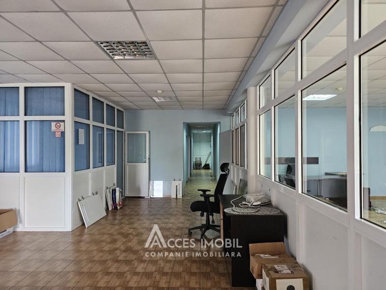 Spațiu Comercial 2 nivele 550m2 + 8 ari! Centru, str. Haltei!: 2