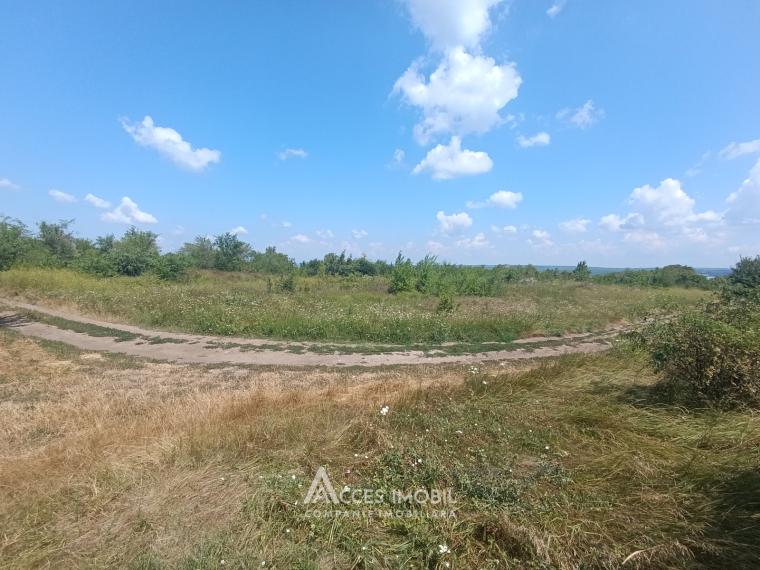 Garden/orchard land 5 ares, Durlești, Durlesti Street!: 0