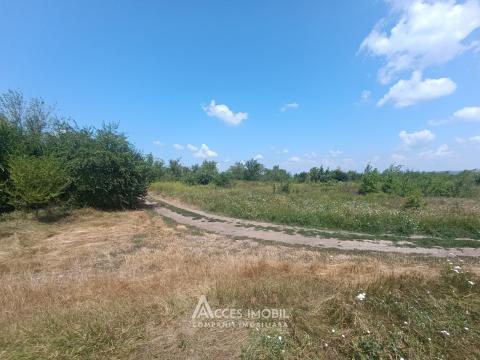 Garden/orchard land 5 ares, Durlești, Durlesti Street!: 1