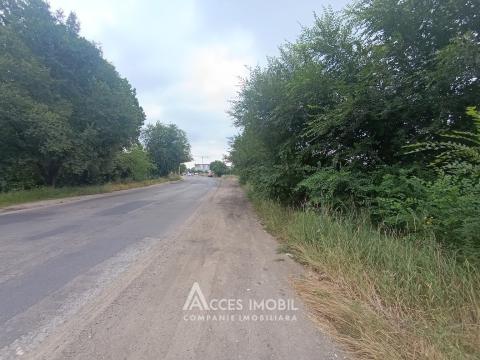 Land for sale in Chisinau: Ialoveni, Nicolae Testemițeanu Street