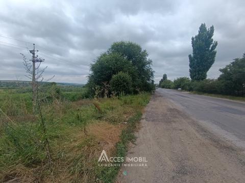 Garden land 4 ares, Ialoveni, Nicolae Testemițeanu Street!: 1