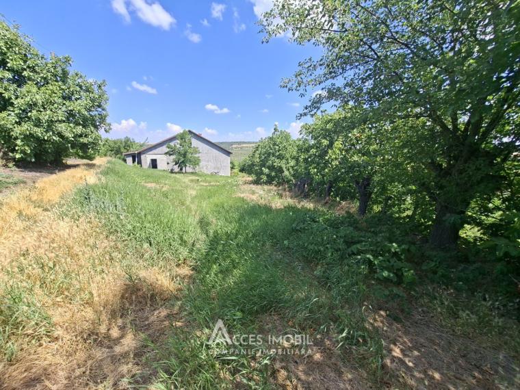 Дом в 2 уровня! Крузешть, ул. Ватра Сатулуй, 3 комнаты + гостиная, 151м² + 8 соток!: 14