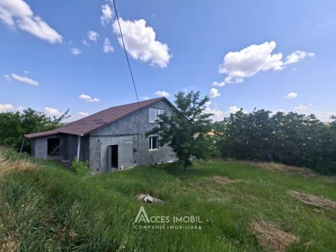 Дом в 2 уровня! Крузешть, ул. Ватра Сатулуй, 3 комнаты + гостиная, 151м² + 8 соток!: 12