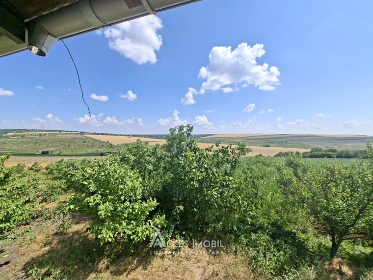 Дом в 2 уровня! Крузешть, ул. Ватра Сатулуй, 3 комнаты + гостиная, 151м² + 8 соток!: 15