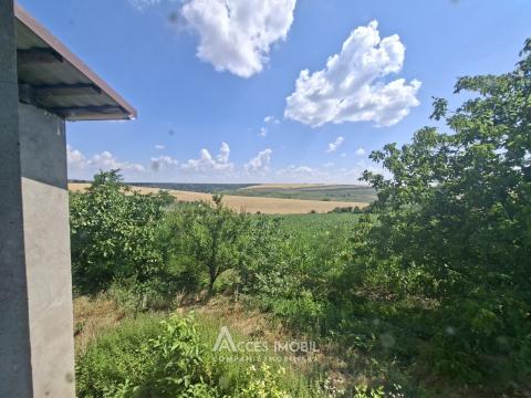 Дом в 2 уровня! Крузешть, ул. Ватра Сатулуй, 3 комнаты + гостиная, 151м² + 8 соток!: 10