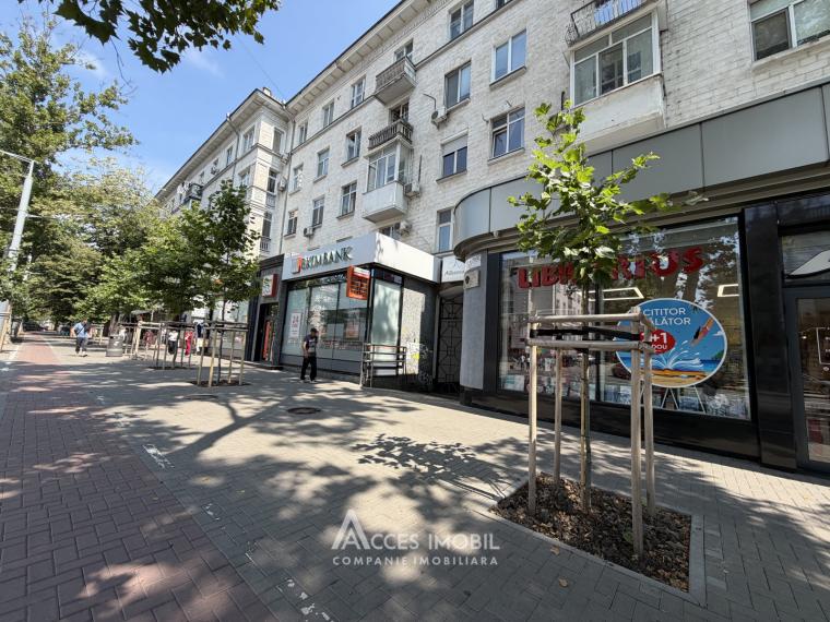 Chirie! Centru, bd. Ștefan cel Mare și Sfânt, 1 cameră + living. Euroreparație!: 12