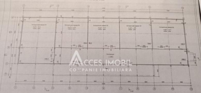 Râșcani, str. Petricani, Spațiu comercial 762m². Reparație medie!: 17