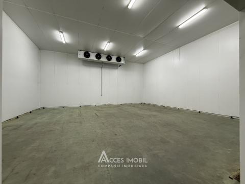 Râșcani, str. Petricani, Spațiu comercial 762m². Reparație medie!: 3