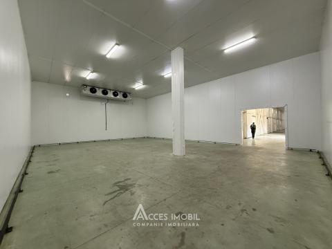 Râșcani, str. Petricani, Spațiu comercial 762m². Reparație medie!: 5