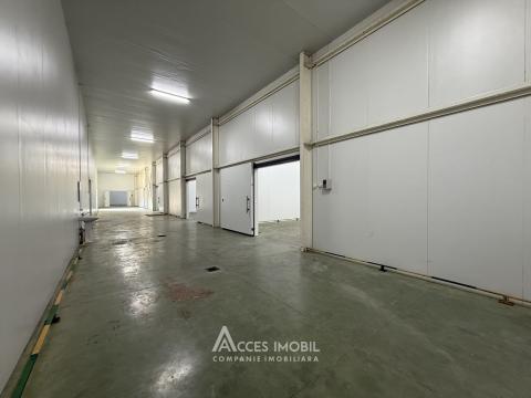 Râșcani, str. Petricani, Spațiu comercial 762m². Reparație medie!: 7
