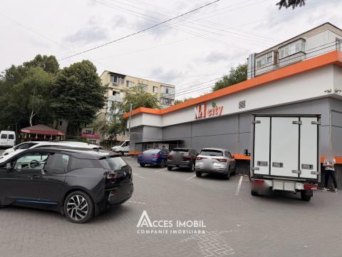 Botanica, bd. Dacia, 2 camere!: 13