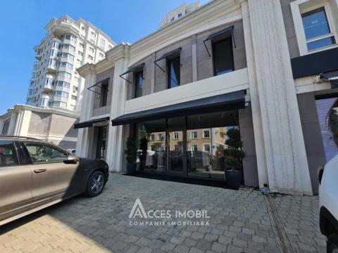 Аренда! Коммерческое помещение, Центр, ул. Букурешть, 220м². Евроремонт!: 5
