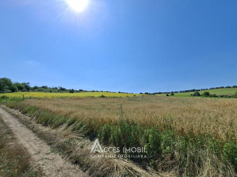 Teren agricol, 30 ari, Dobrogea!: 1