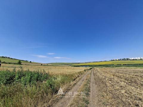 Teren agricol, 30 ari, Dobrogea!: 2