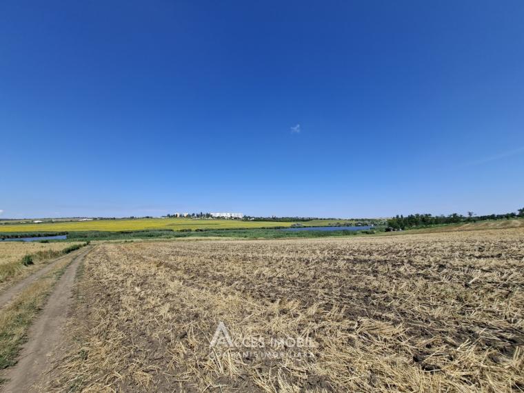 Teren agricol, 30 ari, Dobrogea!: 3