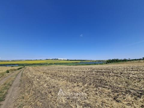 Teren agricol, 30 ari, Dobrogea!: 3