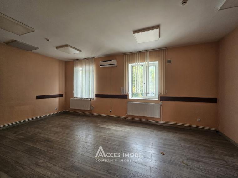 Коммерческое помещение, Рышкановка, ул. Петриканы, 280 м². Автономное отопление!: 11