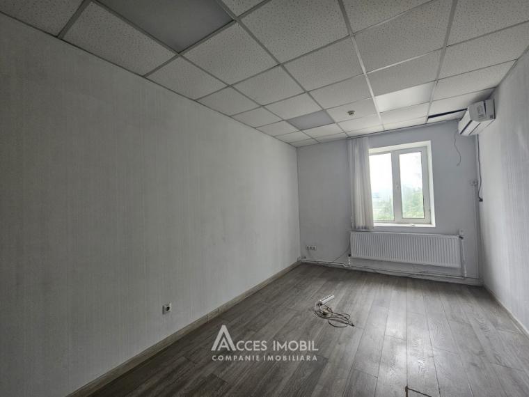 Коммерческое помещение, Рышкановка, ул. Петриканы, 280 м². Автономное отопление!: 9