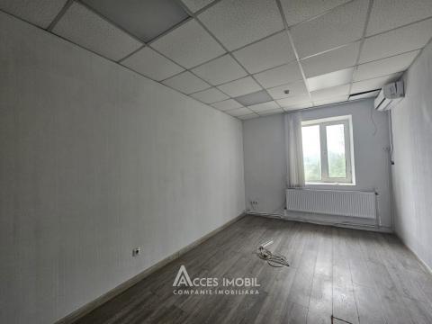 Коммерческое помещение, Рышкановка, ул. Петриканы, 280 м². Автономное отопление!: 9