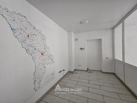 Коммерческое помещение, Рышкановка, ул. Петриканы, 280 м². Автономное отопление!: 5