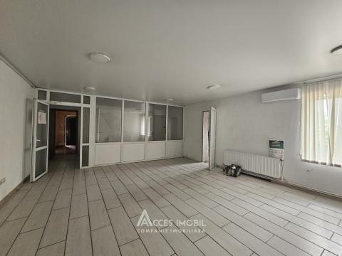 Коммерческое помещение, Рышкановка, ул. Петриканы, 280 м². Автономное отопление!: 1