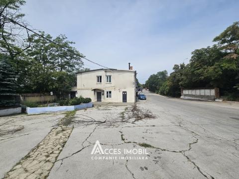 Коммерческое помещение, Рышкановка, ул. Петриканы, 280 м². Автономное отопление!: 15