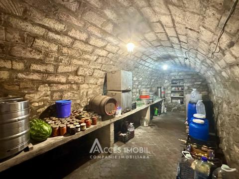 Дом! Чореску, ул. Минерилор, 3 комнаты + гостиная, 130м² + 7 соток!: 20