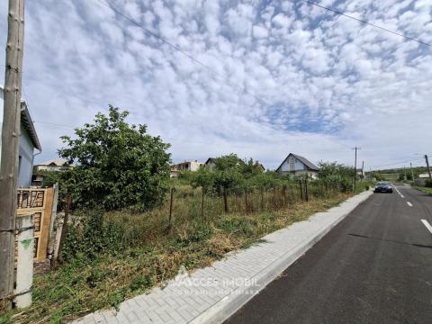 Продажа земельных участков в Кишиневе: Колоница, ул. Василе Лупу