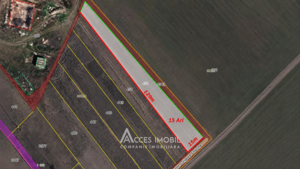 Land for construction, 15 ares, Goianul Nou, Grigore Ureche street!: 3