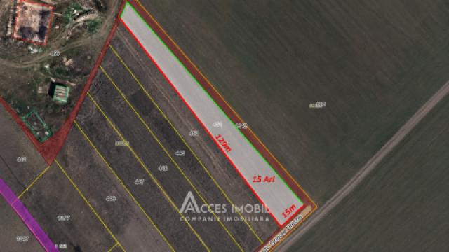 Land for construction, 15 ares, Goianul Nou, Grigore Ureche street!: 3