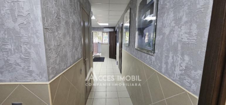 Коммерческое помещения 70м2, Телецентр, ул. Г. Асаки! Евроремонт!: 6